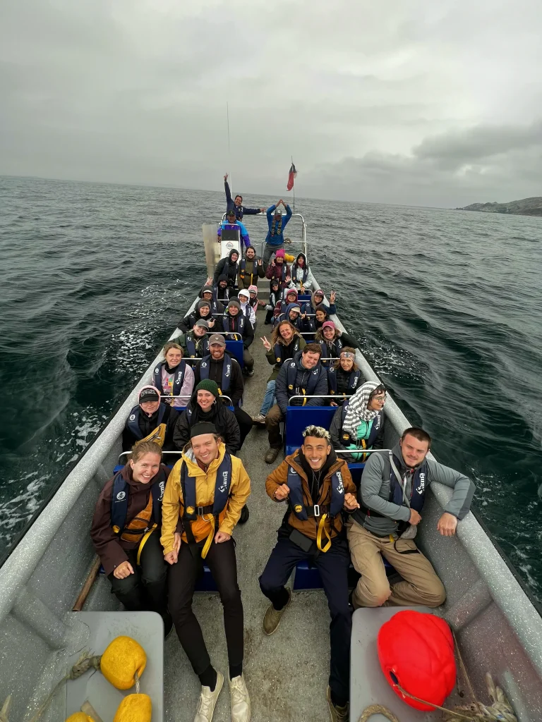 Whale watching Baleias la Serena 